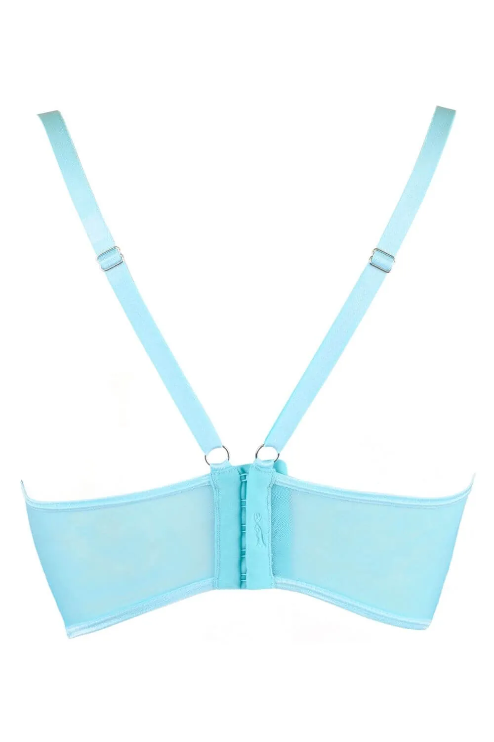Axami 10121 Sheer Corset Bra Passion Wave