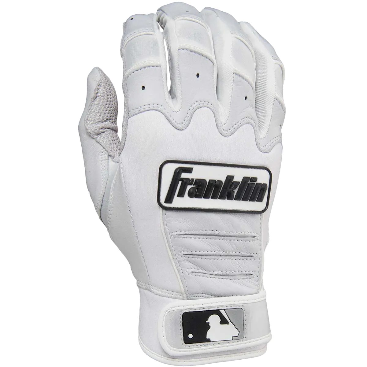 CFX Pro 13